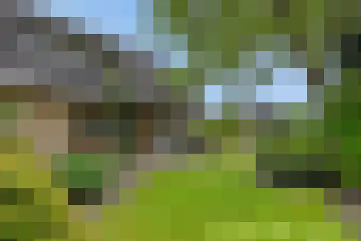 Hugo Thijssensplein 3 Beek en Donk thumbnail 49