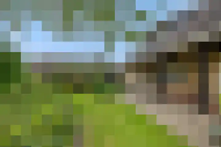 Hugo Thijssensplein 3 Beek en Donk thumbnail 50