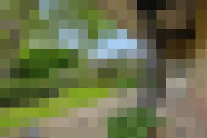Hugo Thijssensplein 3 Beek en Donk thumbnail 51