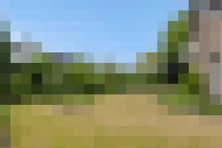 Hugo Thijssensplein 3 Beek en Donk thumbnail 55