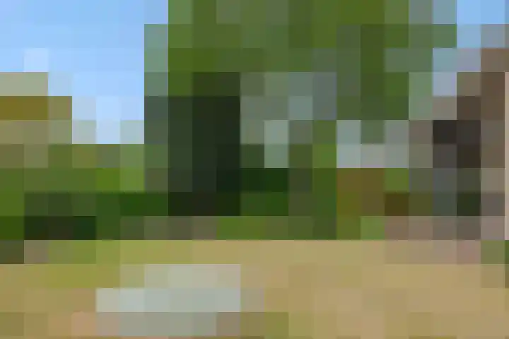 Hugo Thijssensplein 3 Beek en Donk thumbnail 56