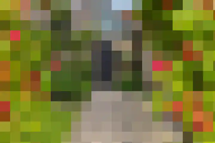 Hugo Thijssensplein 3 Beek en Donk thumbnail 57