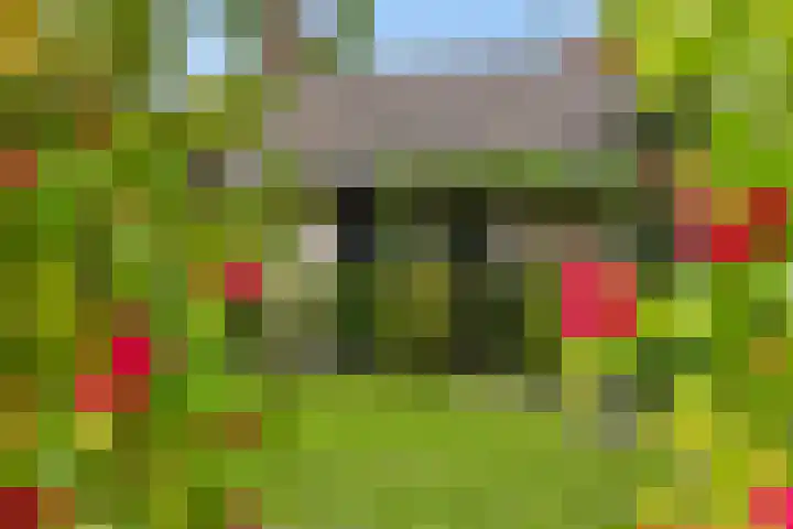 Hugo Thijssensplein 3 Beek en Donk thumbnail 58