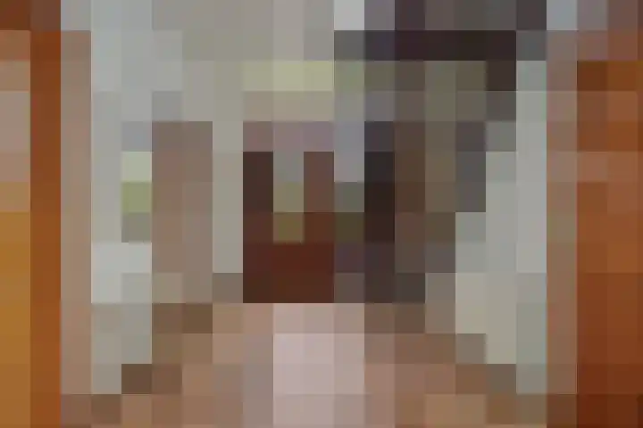 Hugo Thijssensplein 3 Beek en Donk thumbnail 9