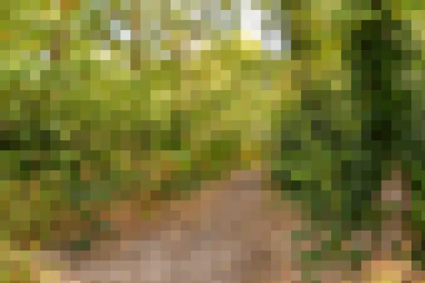 Hugo van der Goeslaan 23 Bilthoven thumbnail 32