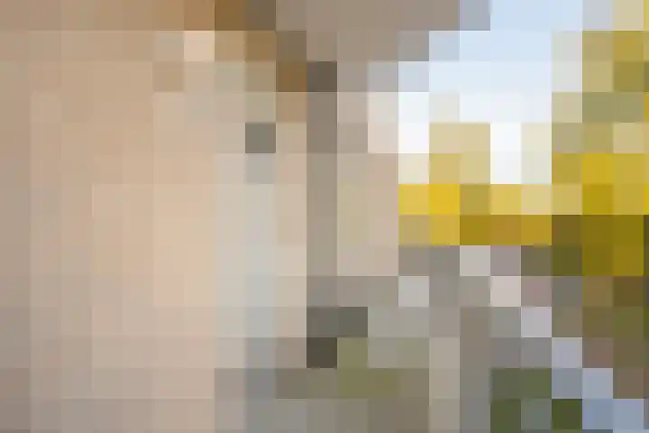 Hugo van der Goeslaan 30 Bilthoven thumbnail 16