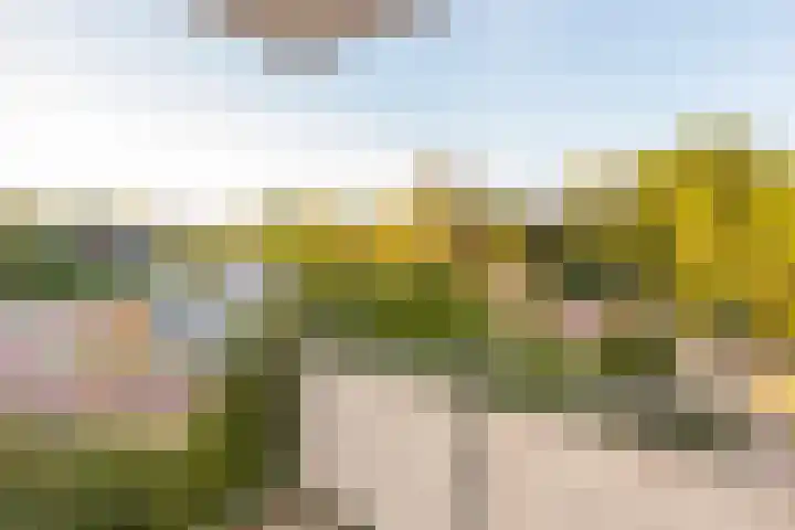 Hugo van der Goeslaan 30 Bilthoven thumbnail 5