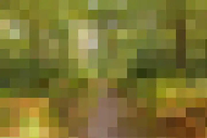 Hugo van der Goeslaan 41 Bilthoven thumbnail 27
