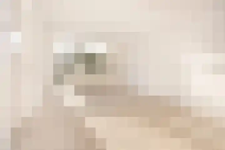 Hugo van der Goeslaan 41 Bilthoven thumbnail 4
