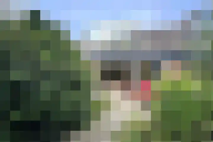 Hugo van der Goeslaan 60 Bilthoven thumbnail 17