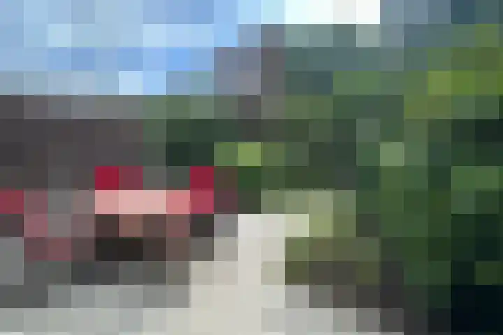 Hugo van der Goeslaan 60 Bilthoven thumbnail 18