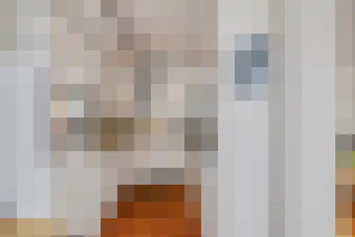 Hugo van der Goesstraat 12 Kaatsheuvel thumbnail 11