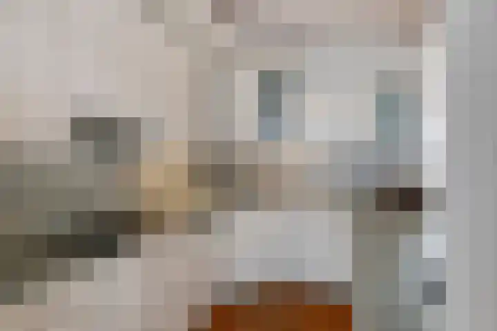 Hugo van der Goesstraat 12 Kaatsheuvel thumbnail 12