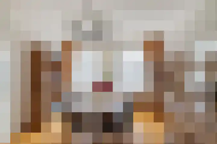 Hugo van der Goesstraat 12 Kaatsheuvel thumbnail 9