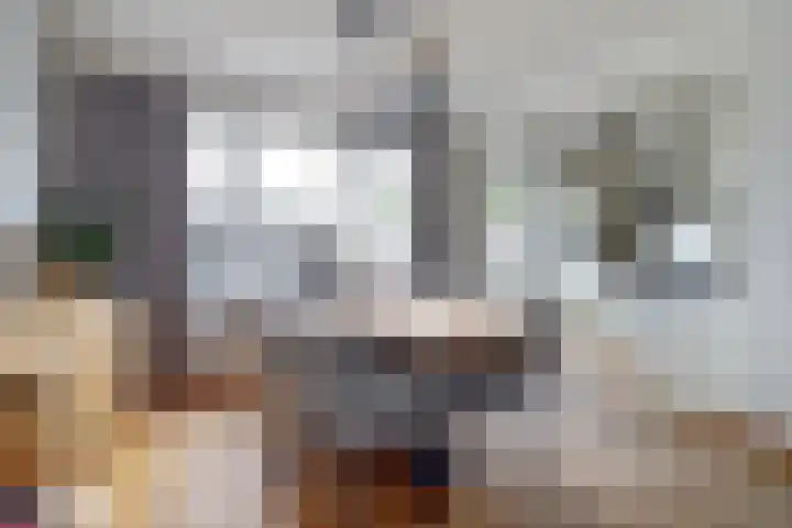 Hugo van der Goesstraat 16 Kaatsheuvel thumbnail 12