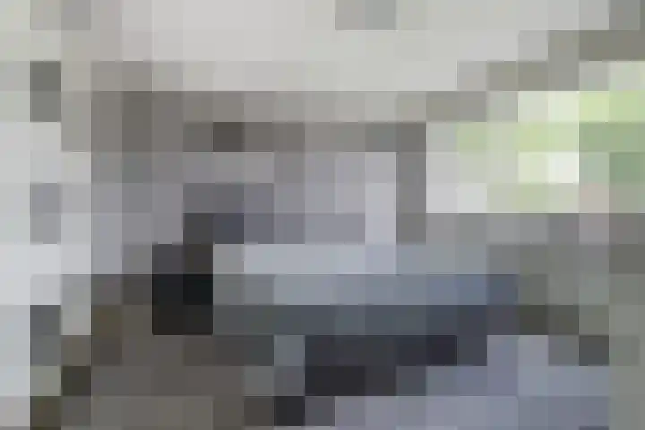 Hugo van der Goesstraat 16 Kaatsheuvel thumbnail 15