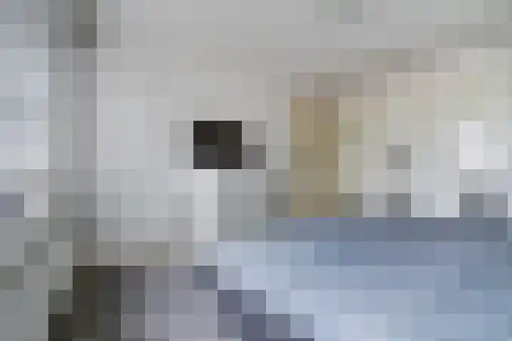 Hugo van der Goesstraat 16 Kaatsheuvel thumbnail 18