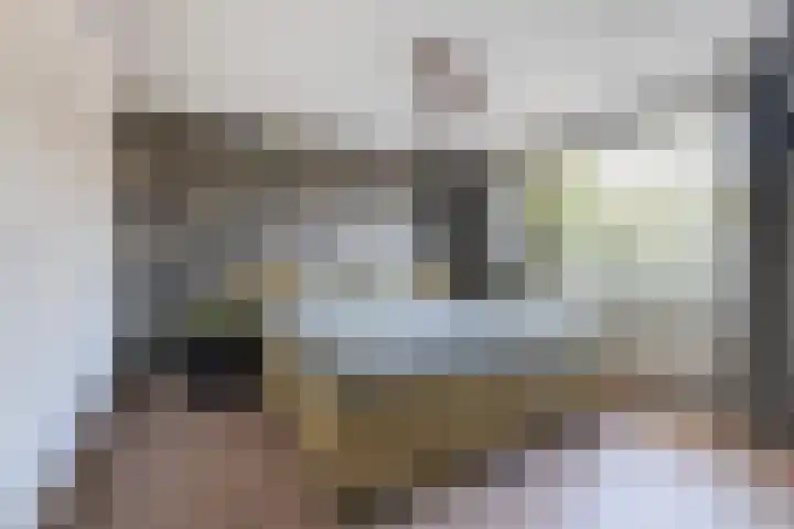 Hugo van der Goesstraat 6 Kaatsheuvel thumbnail 17