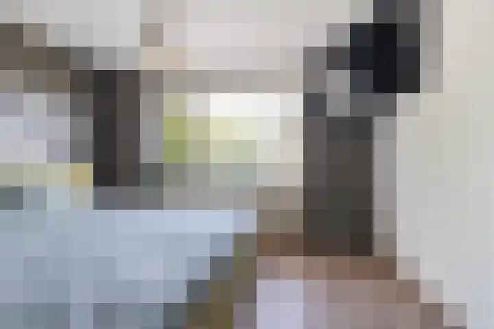 Hugo van der Goesstraat 6 Kaatsheuvel thumbnail 18