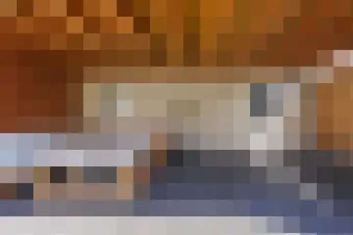 Hugo van der Goesstraat 6 Kaatsheuvel thumbnail 33