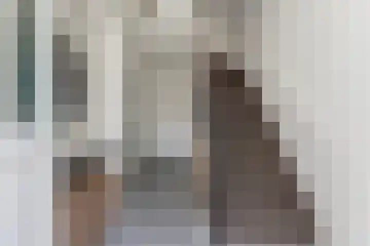 Hugo van der Goesstraat 6 Kaatsheuvel thumbnail 5