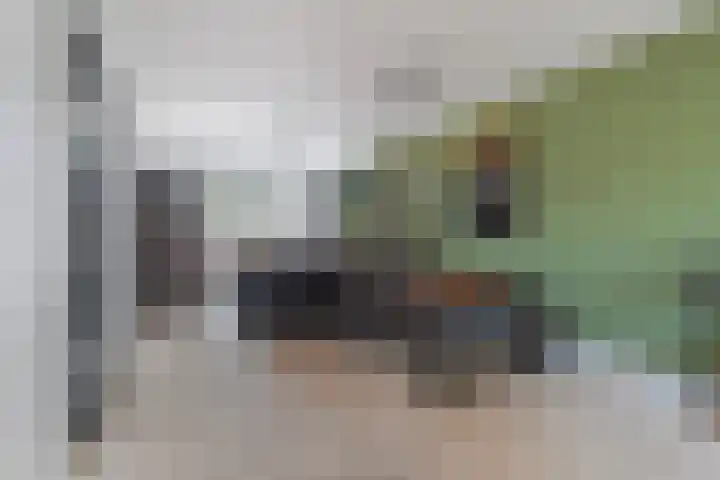 Hugo van der Goesstraat 6 Kaatsheuvel thumbnail 8