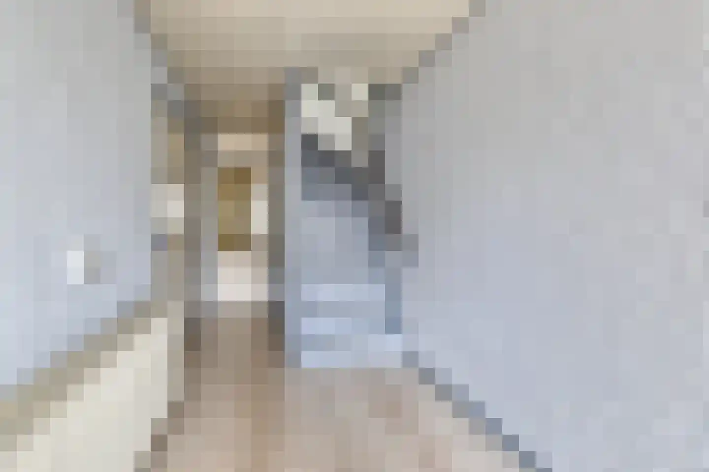 Hugo van Voorneweg 48 Heenvliet thumbnail 5