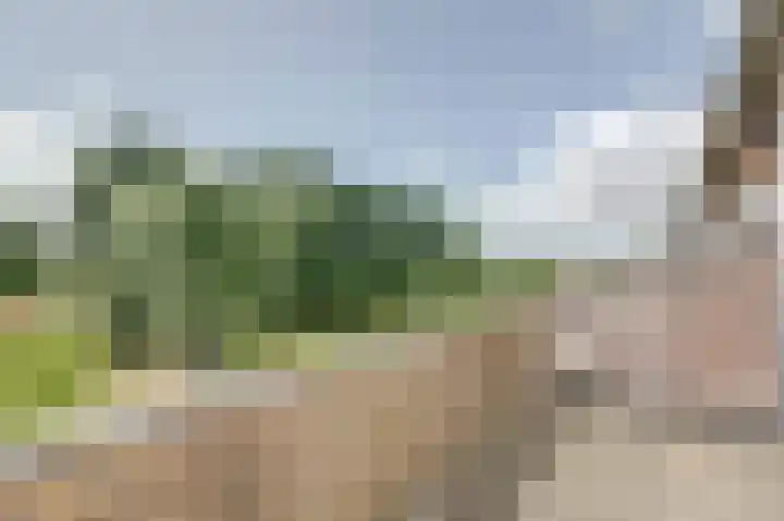 Hugo van Voorneweg 66 Heenvliet thumbnail 26