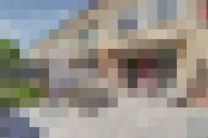 Hugo van Voorneweg 66 Heenvliet thumbnail 29