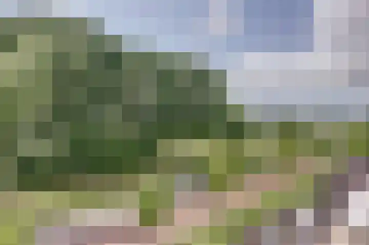 Hugo van Voorneweg 66 Heenvliet thumbnail 31