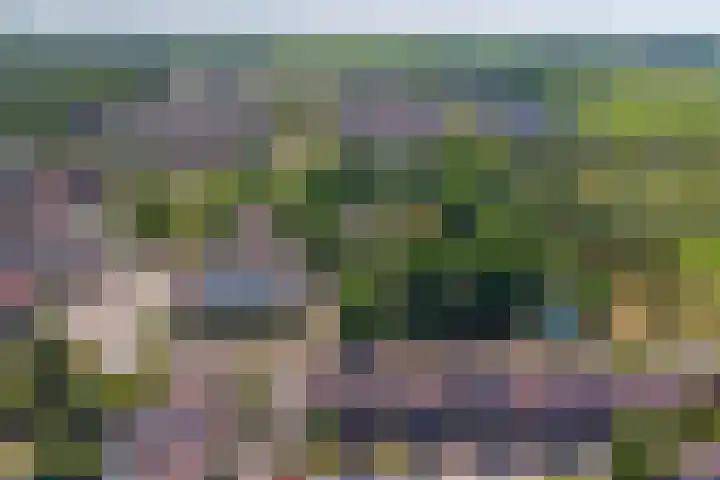 Hugo van Voorneweg 66 Heenvliet thumbnail 32