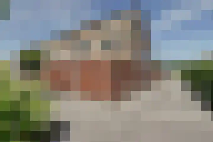 Hugo van Voorneweg 66 Heenvliet thumbnail 33