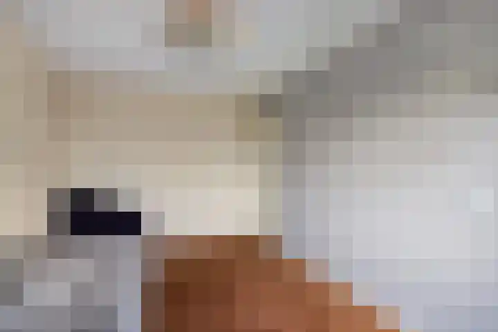 Hugo van Voorneweg 72 Heenvliet thumbnail 14