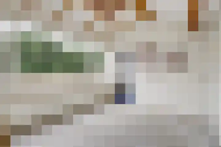 Hugo van Voorneweg 72 Heenvliet thumbnail 17