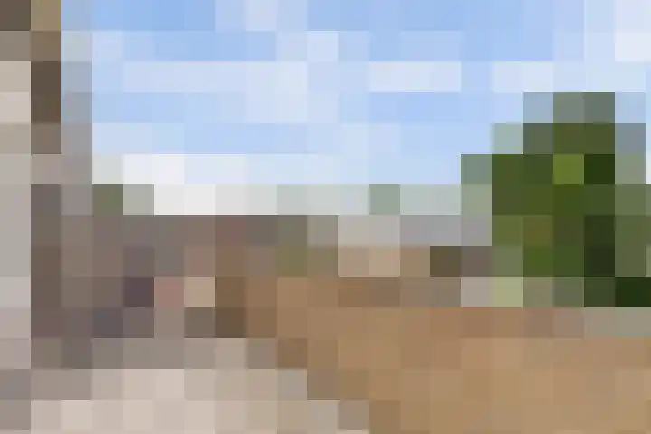 Hugo van Voorneweg 72 Heenvliet thumbnail 18