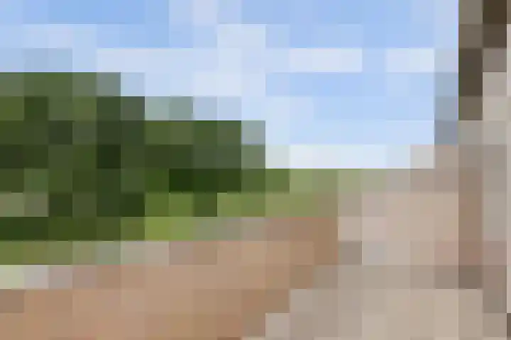 Hugo van Voorneweg 72 Heenvliet thumbnail 19