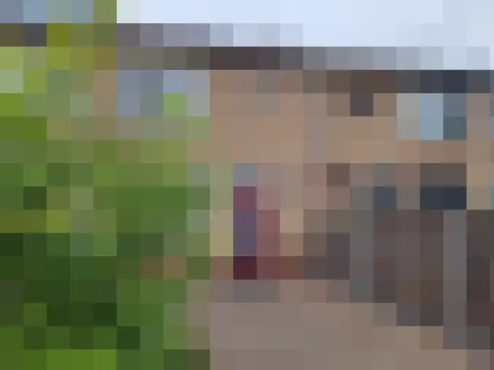 Hugo van Voorneweg 72 Heenvliet thumbnail 24