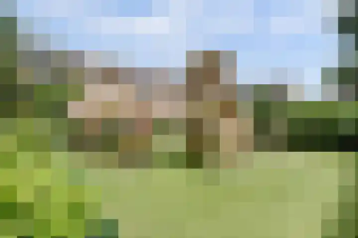 Hugo van Voorneweg 72 Heenvliet thumbnail 25