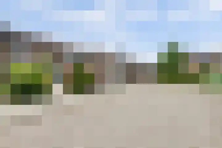 Hugo van Voorneweg 72 Heenvliet thumbnail 26