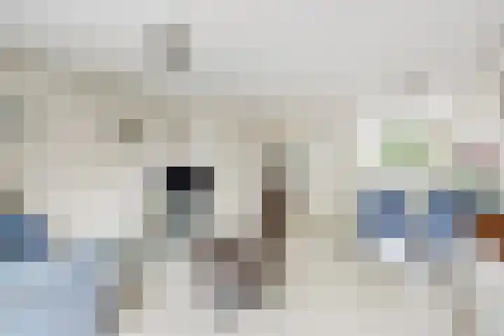 Hugo van Voorneweg 72 Heenvliet thumbnail 5