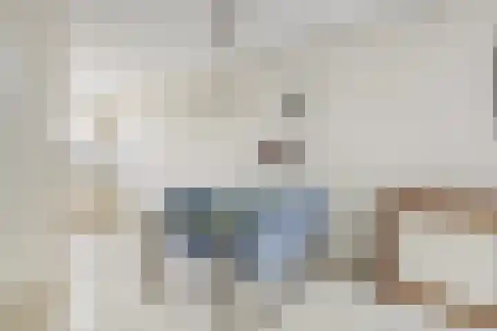 Hugo van Voorneweg 72 Heenvliet thumbnail 6