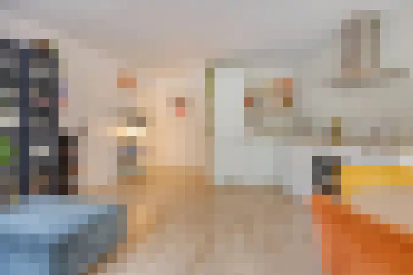 Hugo van Woerdenstraat 67 Leiden thumbnail 16