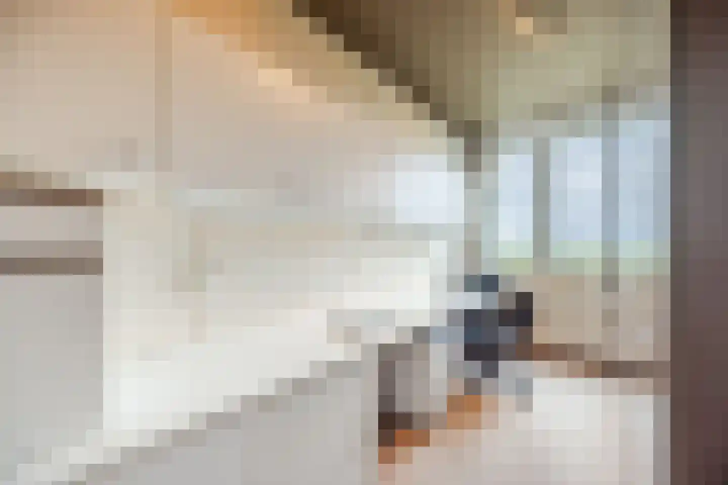 Hugo Verrieststraat 107 Tilburg thumbnail 17