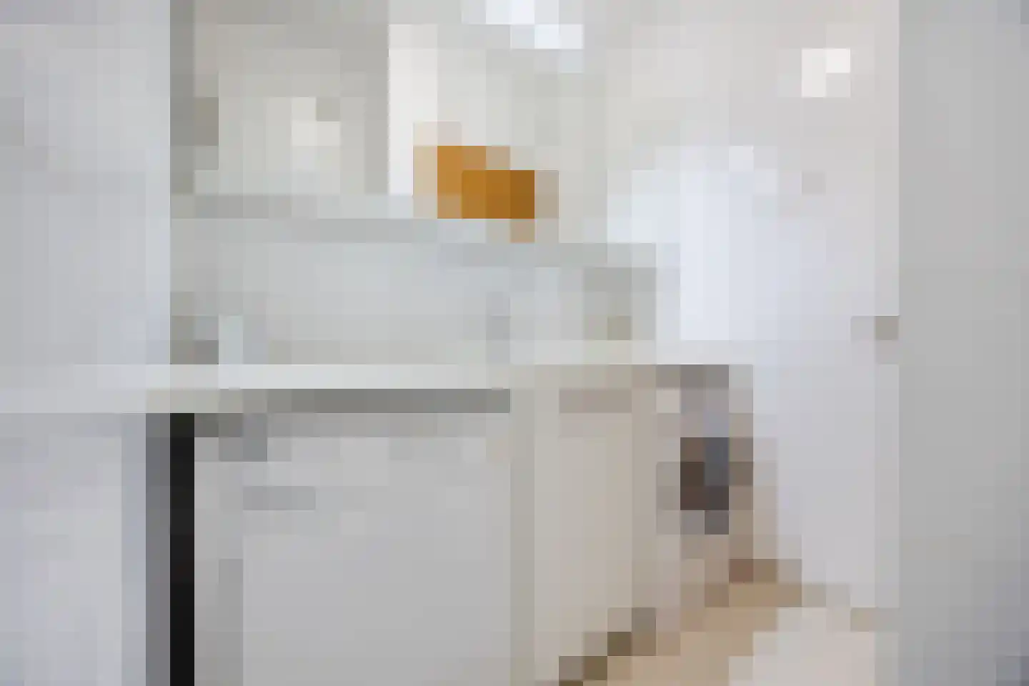 Hugo Verrieststraat 107 Tilburg thumbnail 19