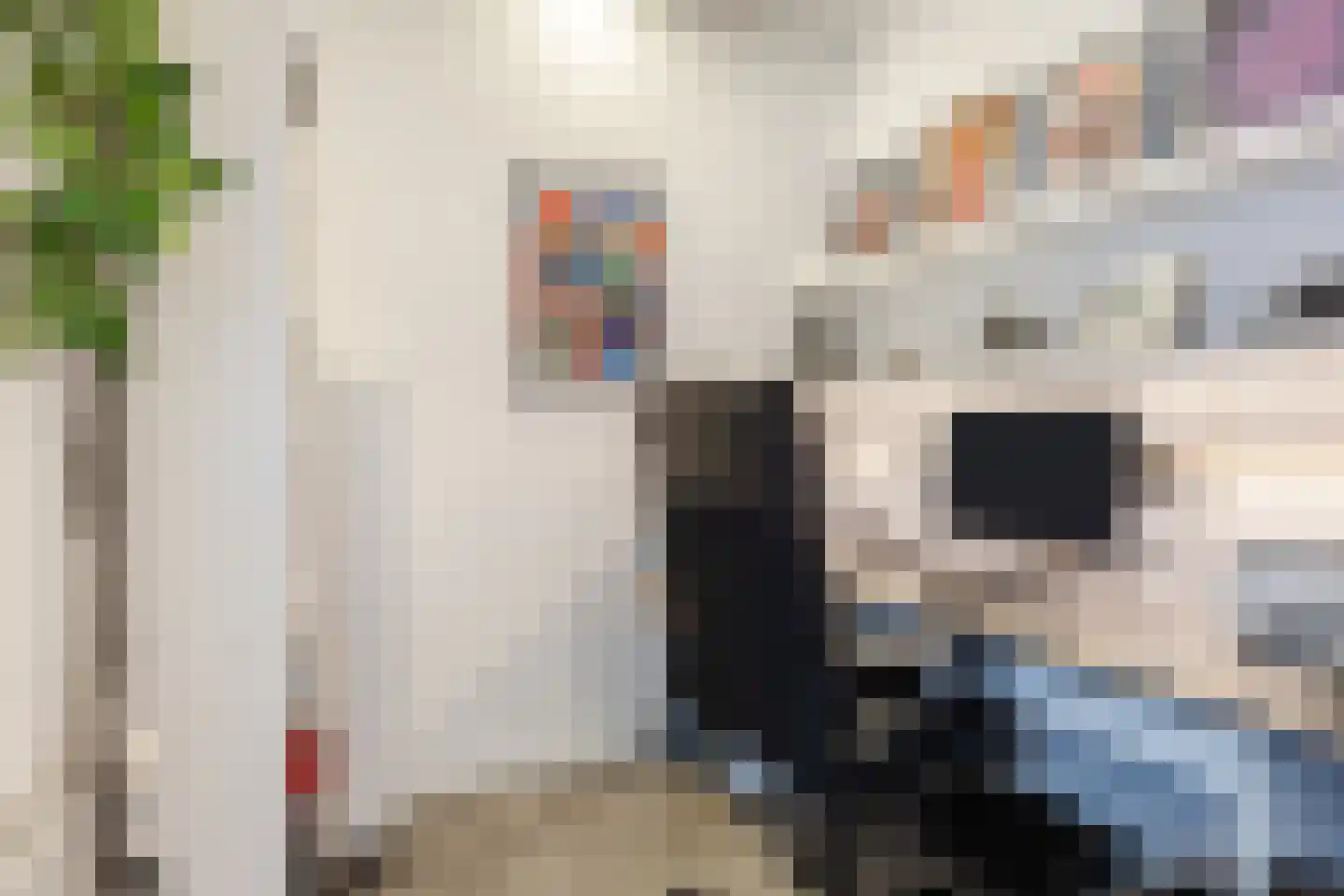 Hugo Verrieststraat 109 Tilburg thumbnail 14
