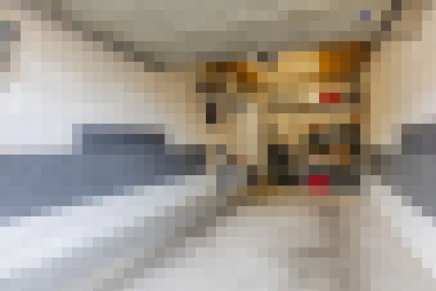 Hugo Verrieststraat 109 Tilburg thumbnail 21