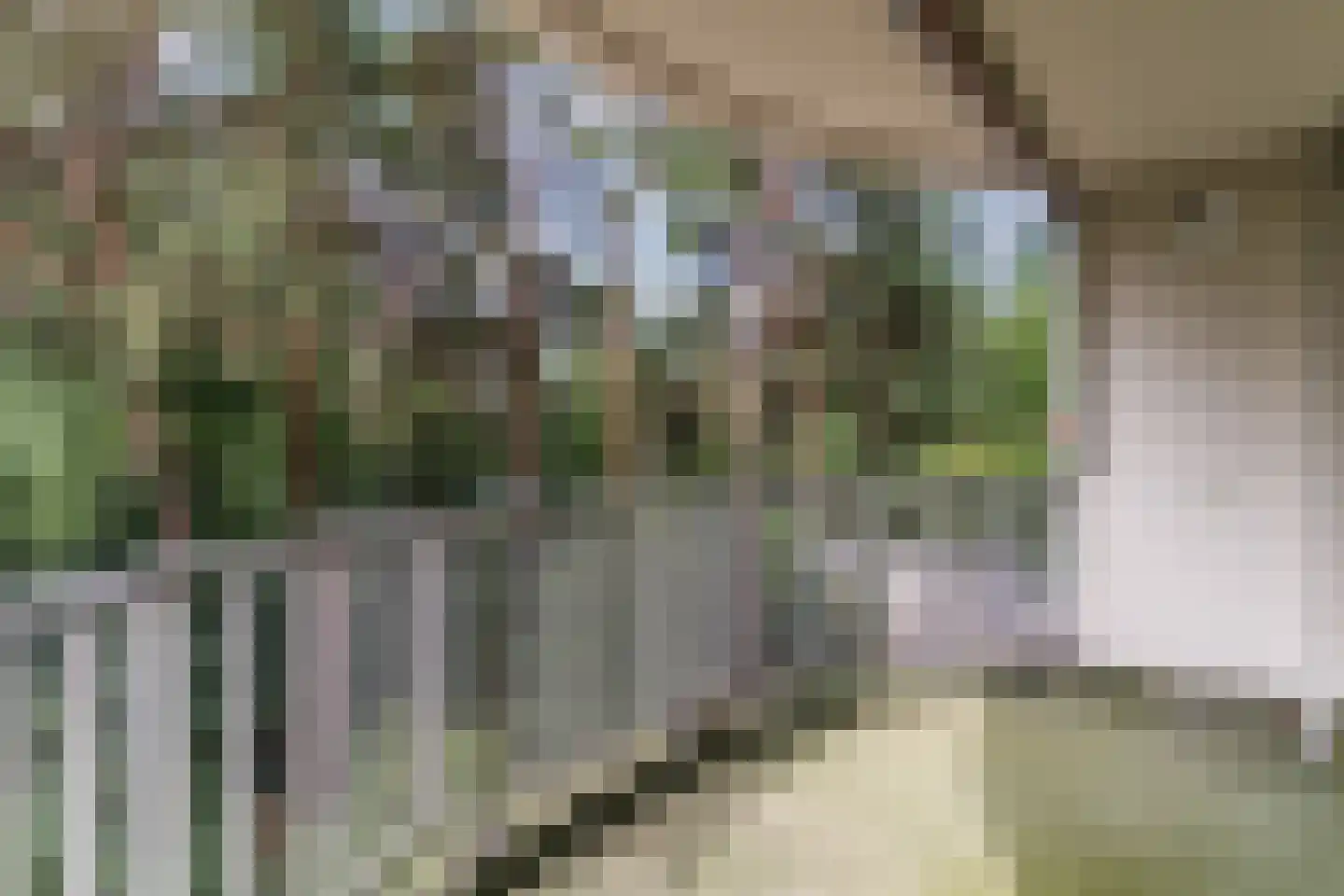 Hugo Verrieststraat 121 Tilburg thumbnail 10