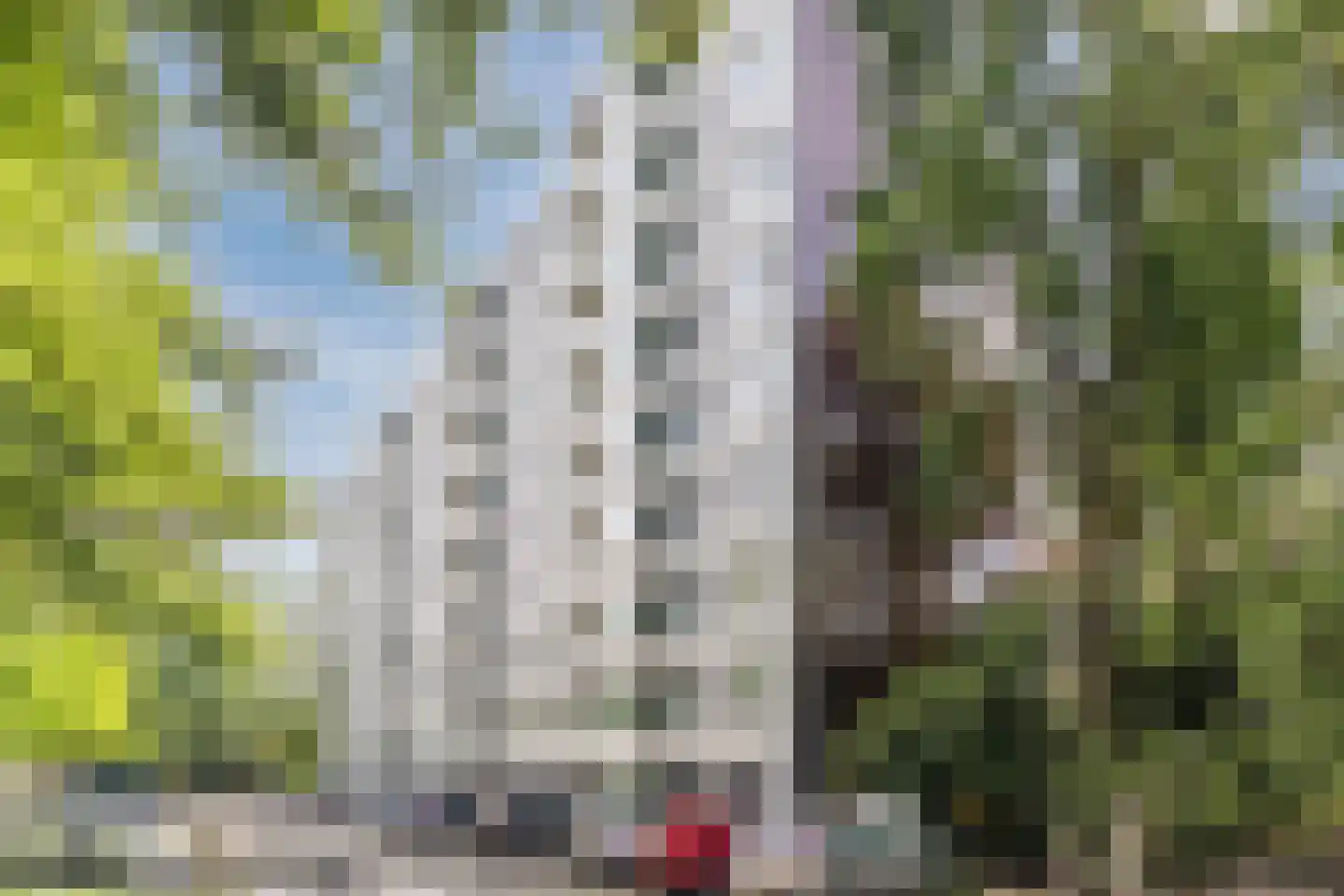 Hugo Verrieststraat 121 Tilburg thumbnail 31