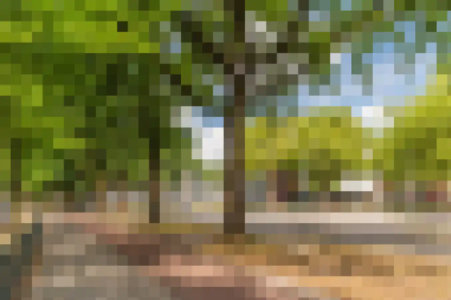 Hugo Verrieststraat 121 Tilburg thumbnail 33