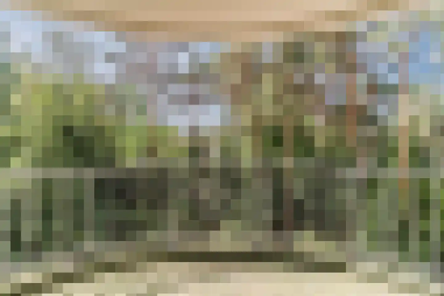 Hugo Verrieststraat 121 Tilburg thumbnail 7